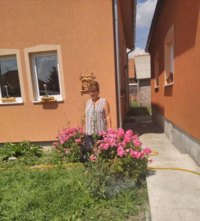 Apartmani ,Bato,